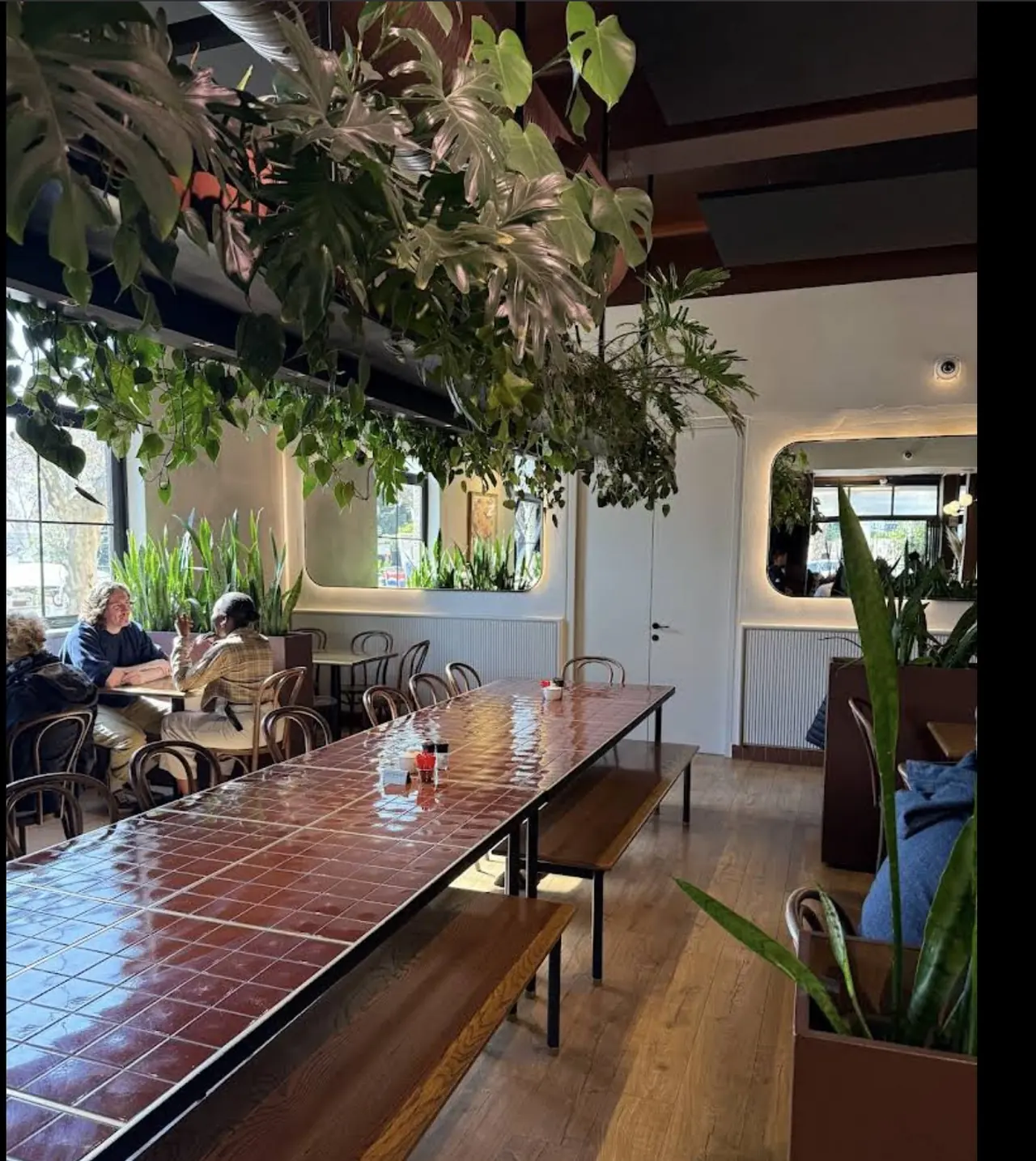 The long terracotta-tiled communal table under hanging monstera, with benches and backlit rounded mirrors