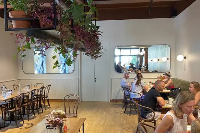 The dining room: bentwood chairs, a green banquette and plum foliage hanging over the tables